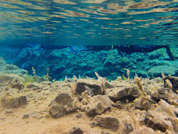Photo of Deep and Shallow Some areas are really deep and some areas are really shallow, but the water is clear and beautiful. , kerrymannette - September 2016