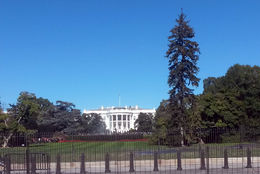 Photo of Outside of the White House Had to squeeze in between people to get this shot! - December 2014