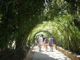 Photo of Skip the Line: Alhambra and Generalife Gardens Half-Day Tour Tree tunnel in the gardens, Laura All Over - August 2014
