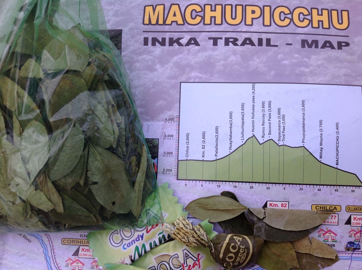 Coca leaves and Coca candy
