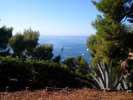 Photo of Monaco and Eze Small Group Day Trip from Nice Leaving Nice we stopped for some breathtaking views. , Boris G - September 2015