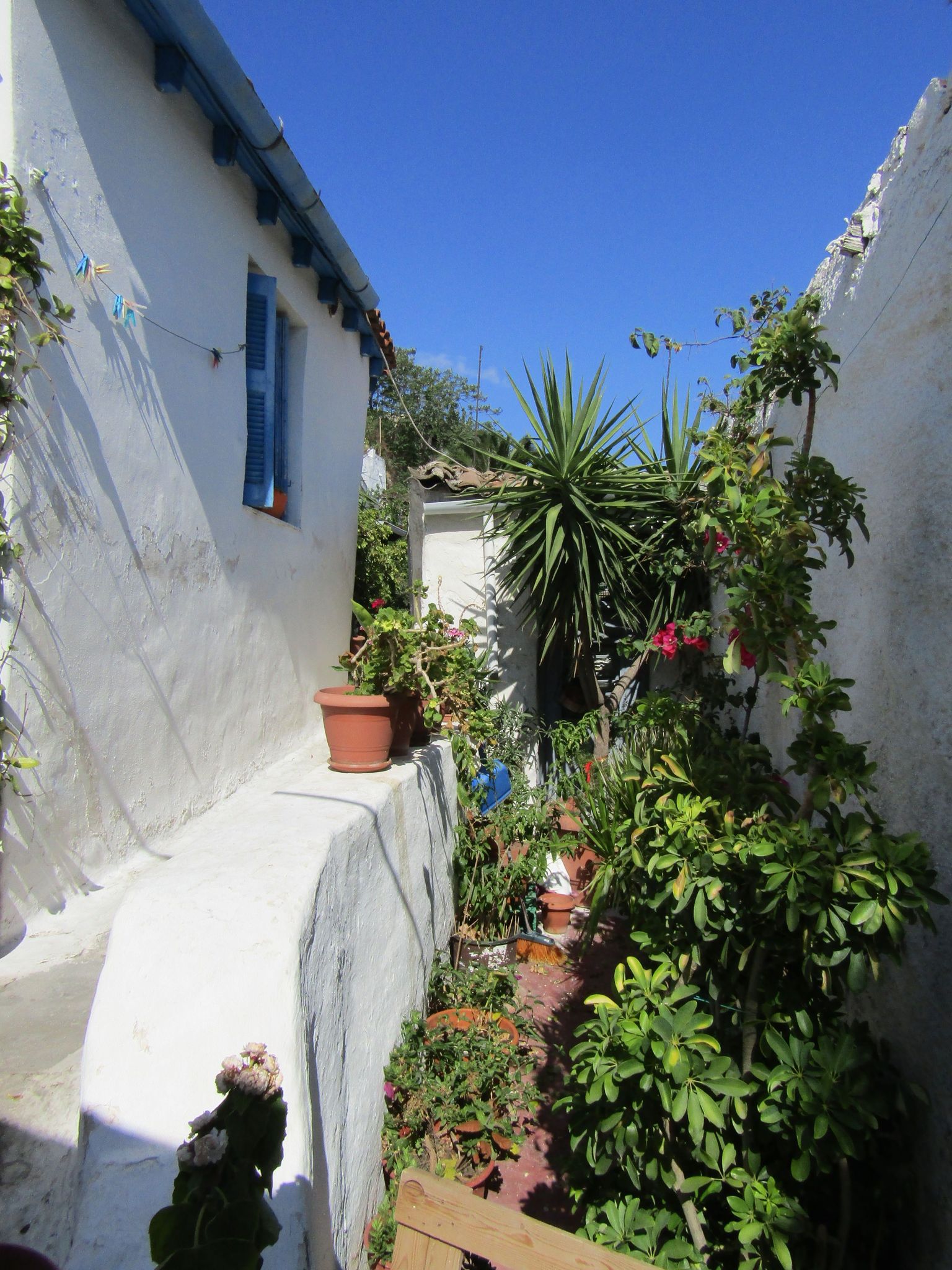 hidden Athens