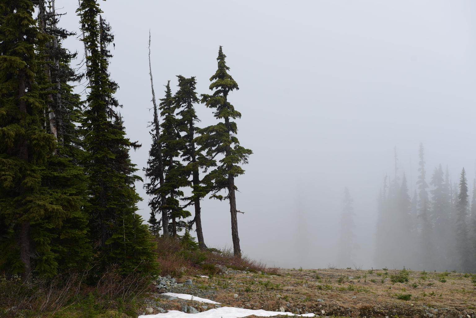 Whistler Jeep Adventure