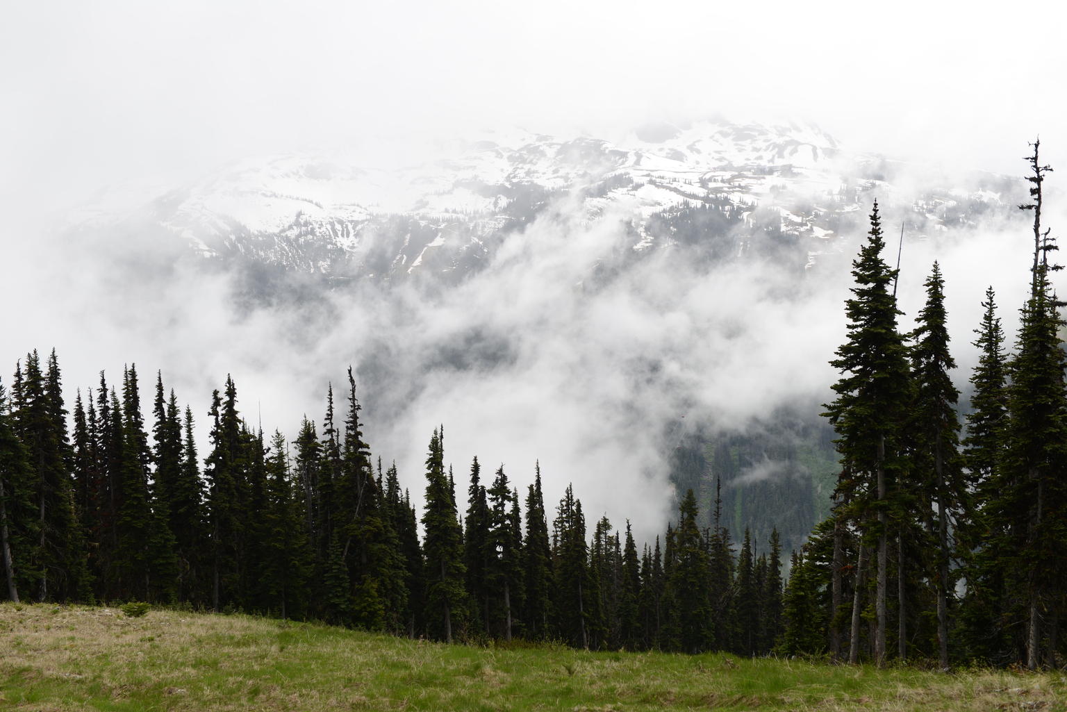 Whistler Jeep Adventure