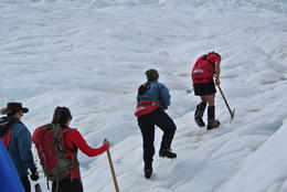 Photo of Off we go! Our party being led up the glacier by our wonderful guide, San. , Stephen L - November 2013