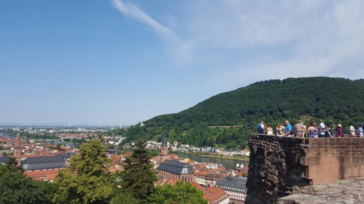 Heidelberg Scholl