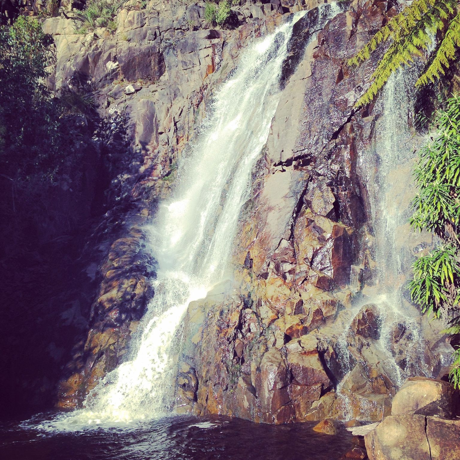 Steavenson Falls