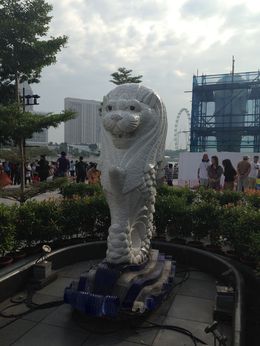 Photo of Merlion The Merlion,the orchid gardens, the flyer it was a great tour! Highly recommend! , Robert S - February 2015