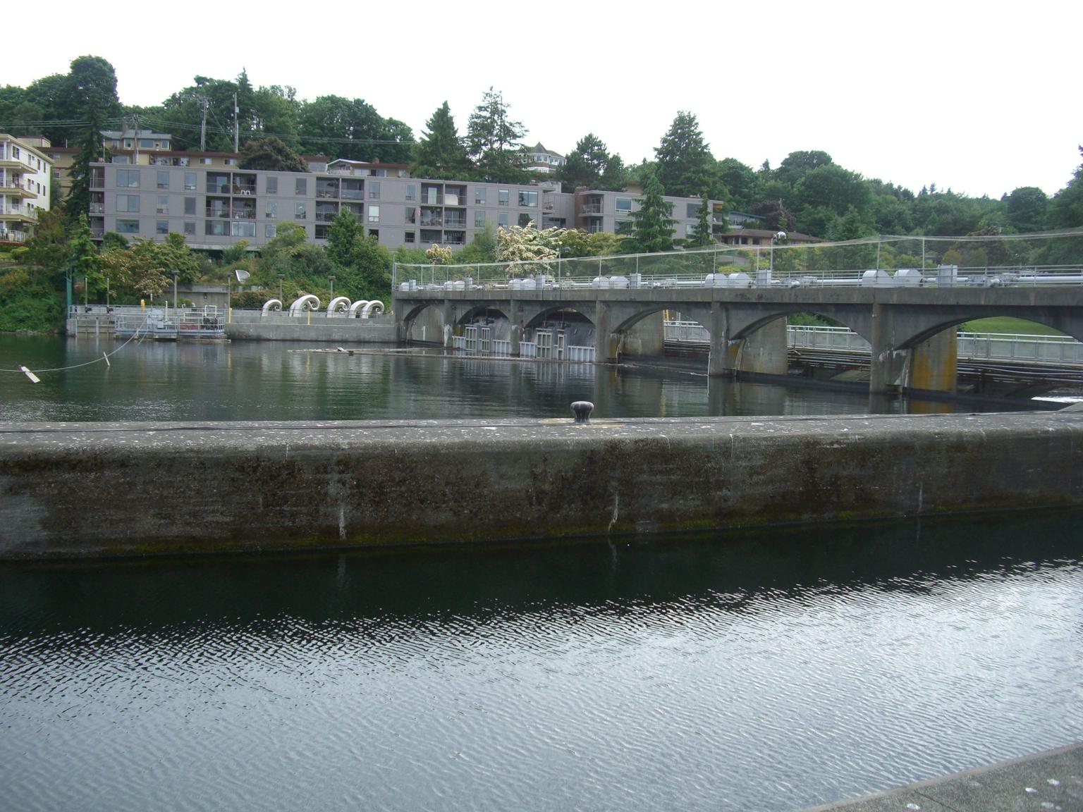 Chittenden (Ballard) Locks, Seattle