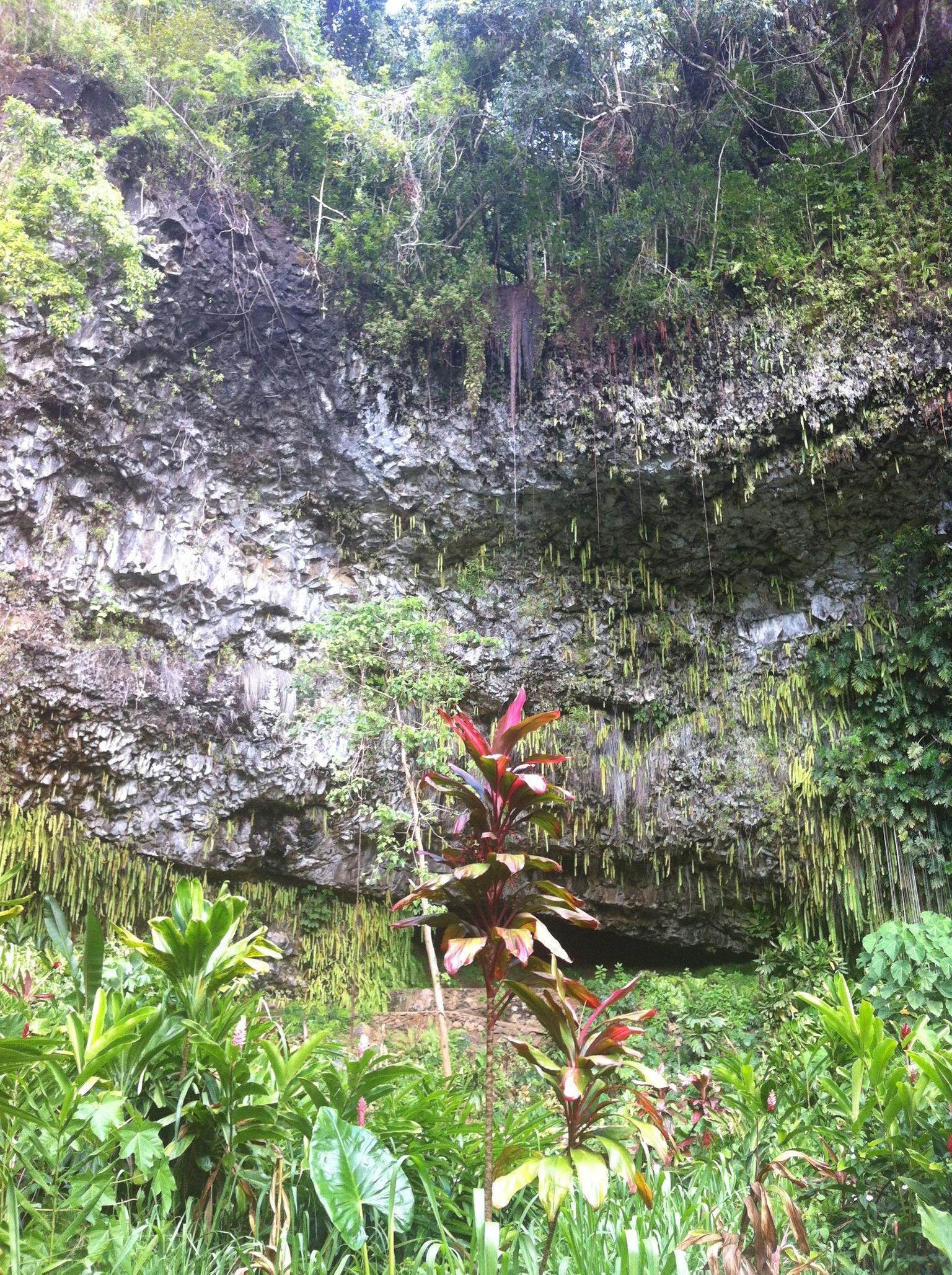 Fern Grotto