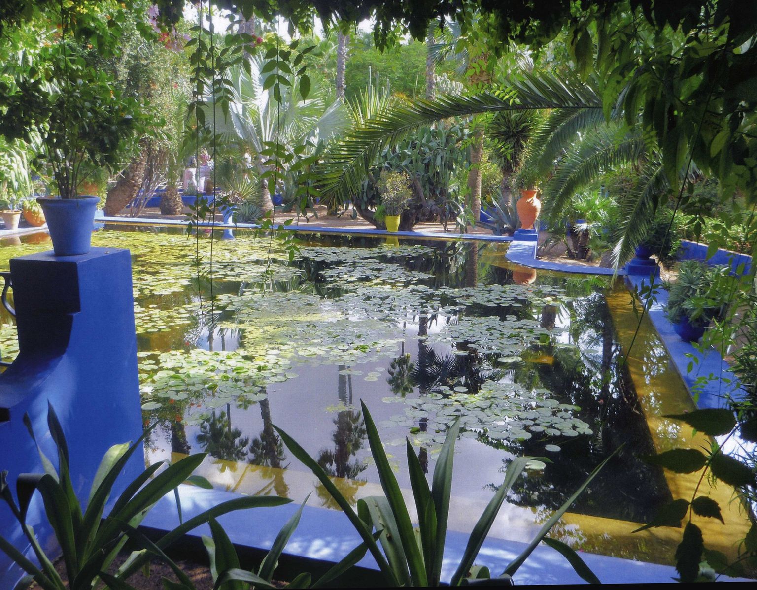 Majorelle Garden - Pool
