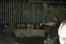 Photo of tamaki-maori-village performance 2.jpg tamaki-maori-village performance 2, Kierra - June 2014