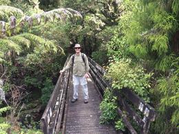 Photo of Puketi Rainforest Hike, Bay of Islands, New Zealand Paul is anxious to get started on our walk through the Puketi Rainforest March 2014 guided by Ian. , Marjorie R - April 2014