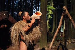 Photo of Rotorua_Tamaki Maori playing conch shell.jpg RotoruaTamaki Maori ceremony, Kierra - June 2014