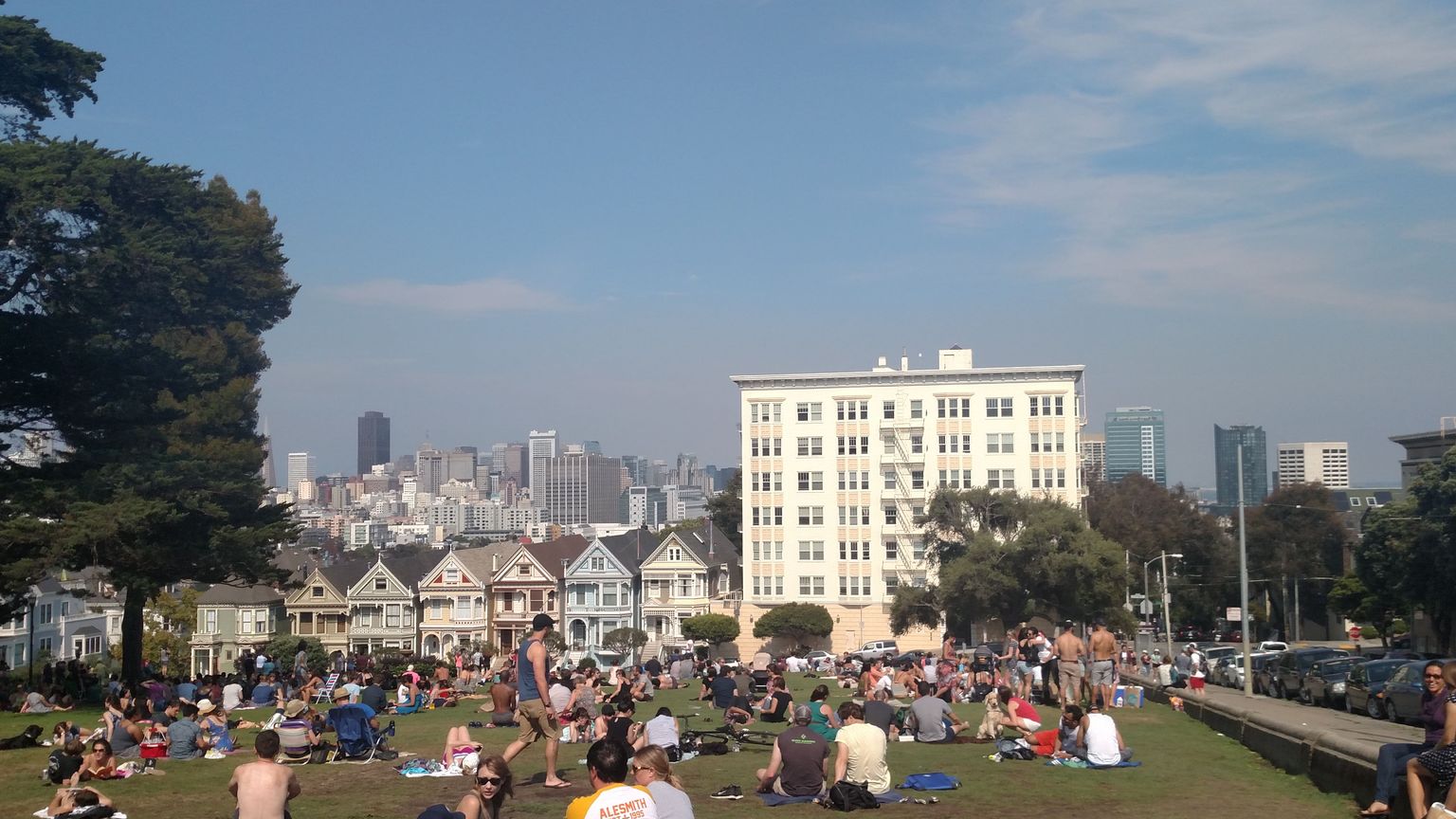 The famous Painted Ladies