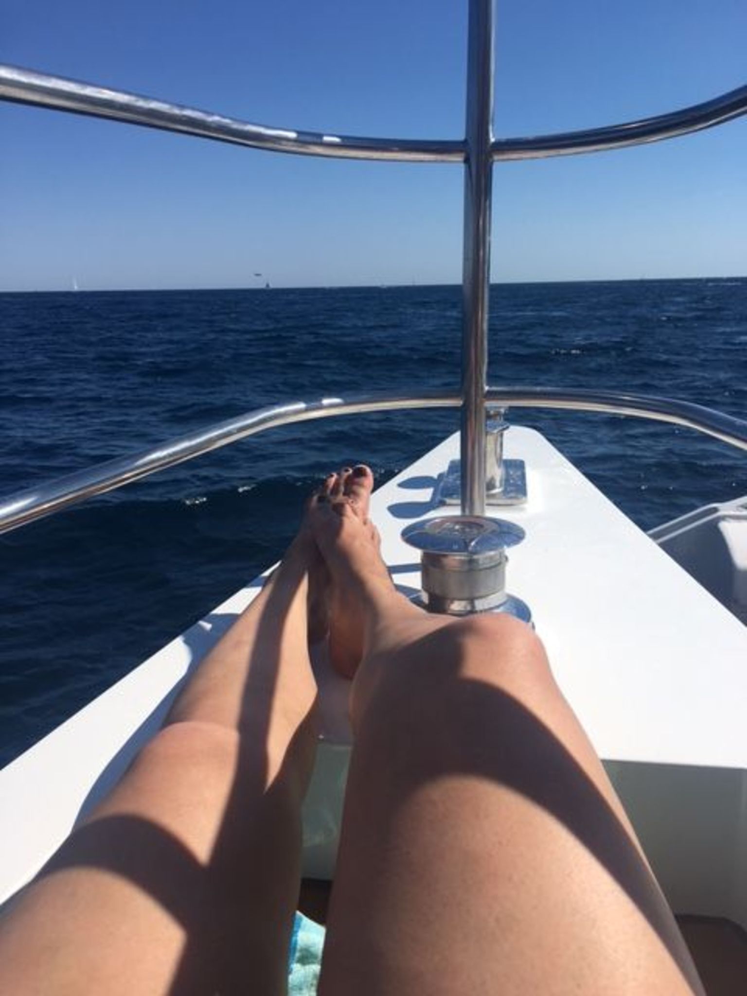 Half-day catamaran cruise!