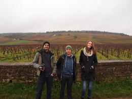 Photo of Wine tasting in the Cote de Nuits region Our group standing in front of the vineyards of Romanée-Conti, which produces the most expensive wine in the world!, Rachel - November 2013