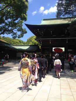 Photo of IMG_5512.JPG We were so lucky to witness a traditional wedding in Meiji Shrine!, Bing - August 2014