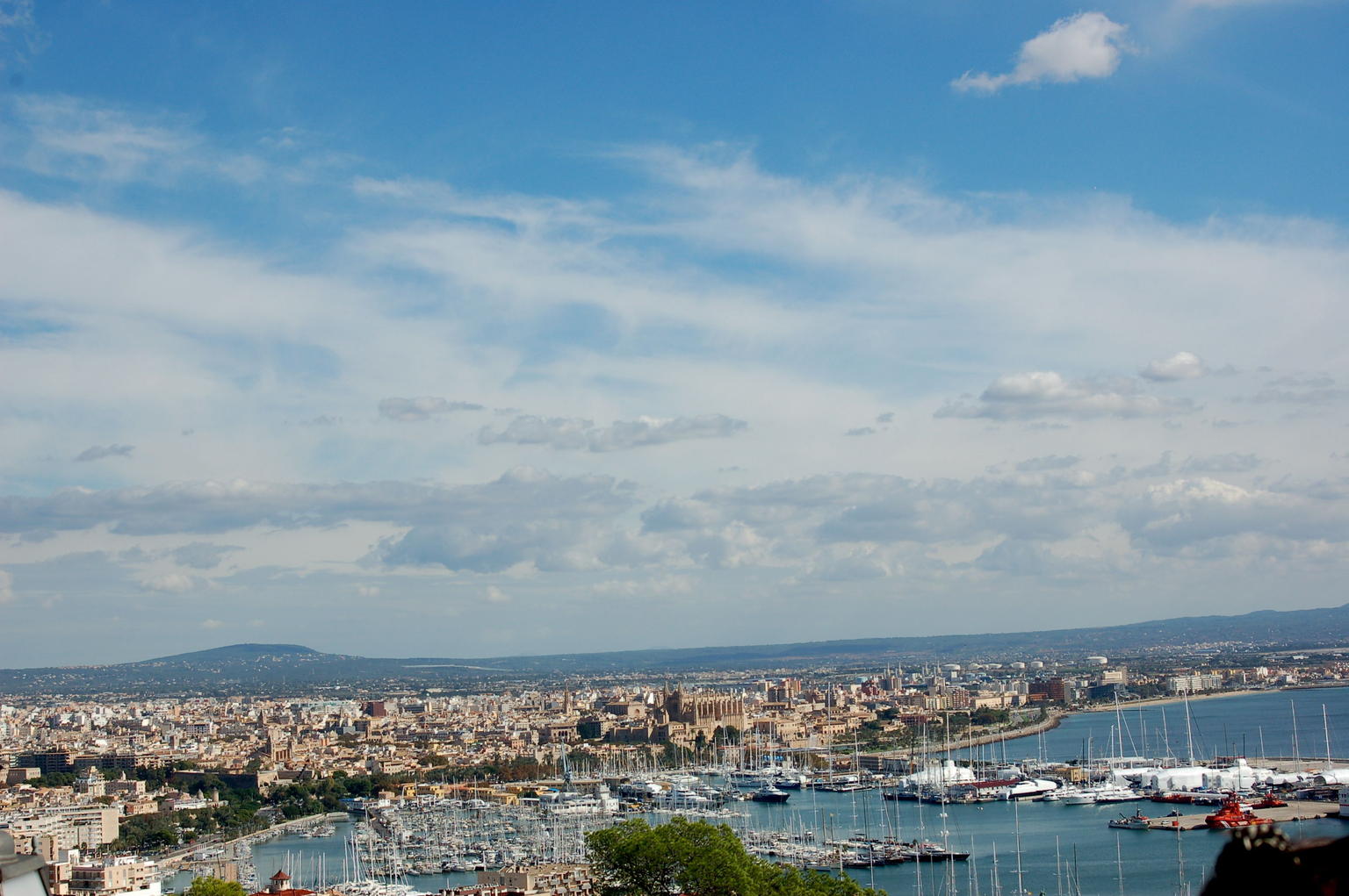 View of the port from the top of the hill