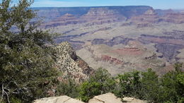 Photo of Her Majesty, of the Grand Canyon. Nature and all her epochs in different colored geological rocks. , Rain E - June 2016