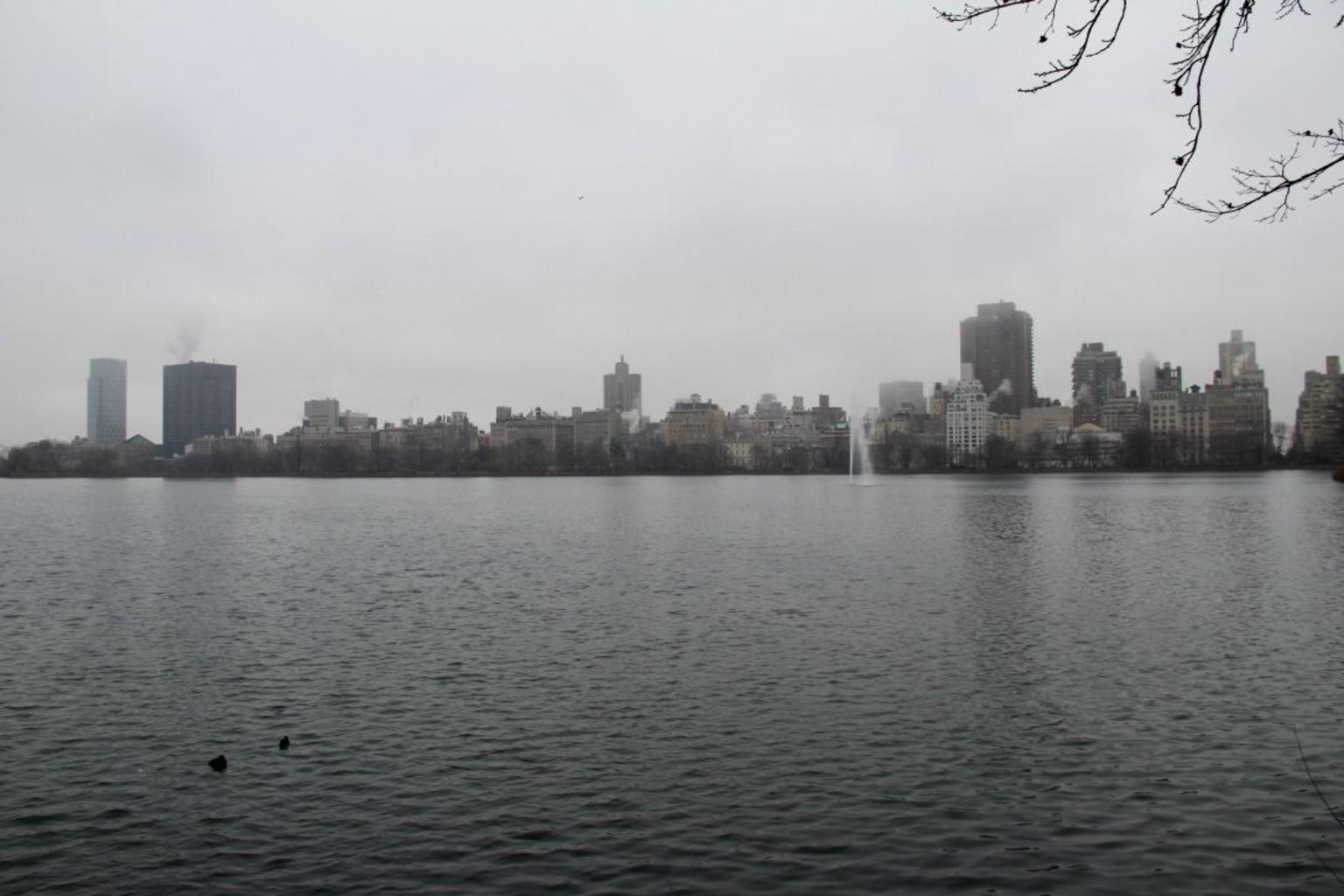 NYC Central Park Bike Rental