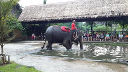 Photo of Show Could have photos taken with them for a very small fee. You could see they are well looked after and respect between them. , Joan T - December 2014