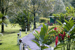 Photo of Walking trails Arenal Observatory Lodge offer about 3 kms of well maintained trails throughout the property. , erickht - March 2013