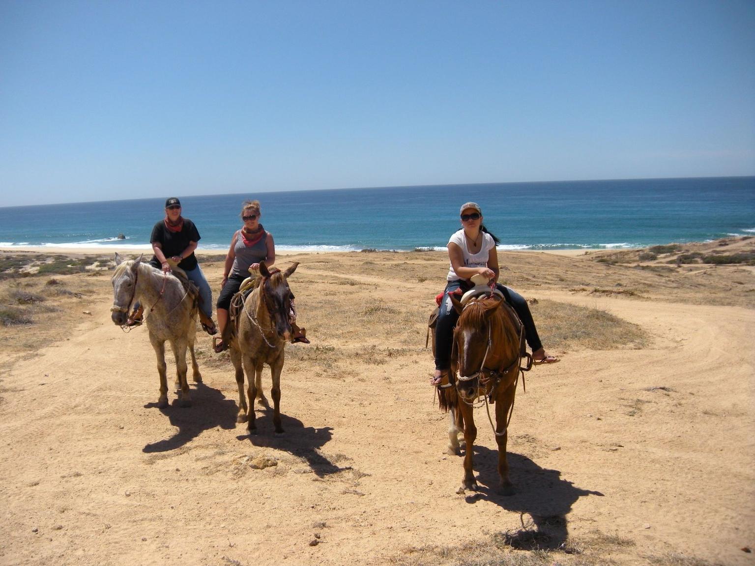 Hitting the beach trails