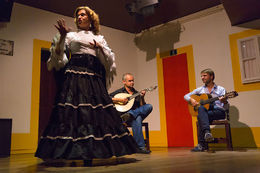 Photo of Lisbon Sunset Small-Group Walking Tour with Fado Performance One of the amazing Fado singers - November 2015