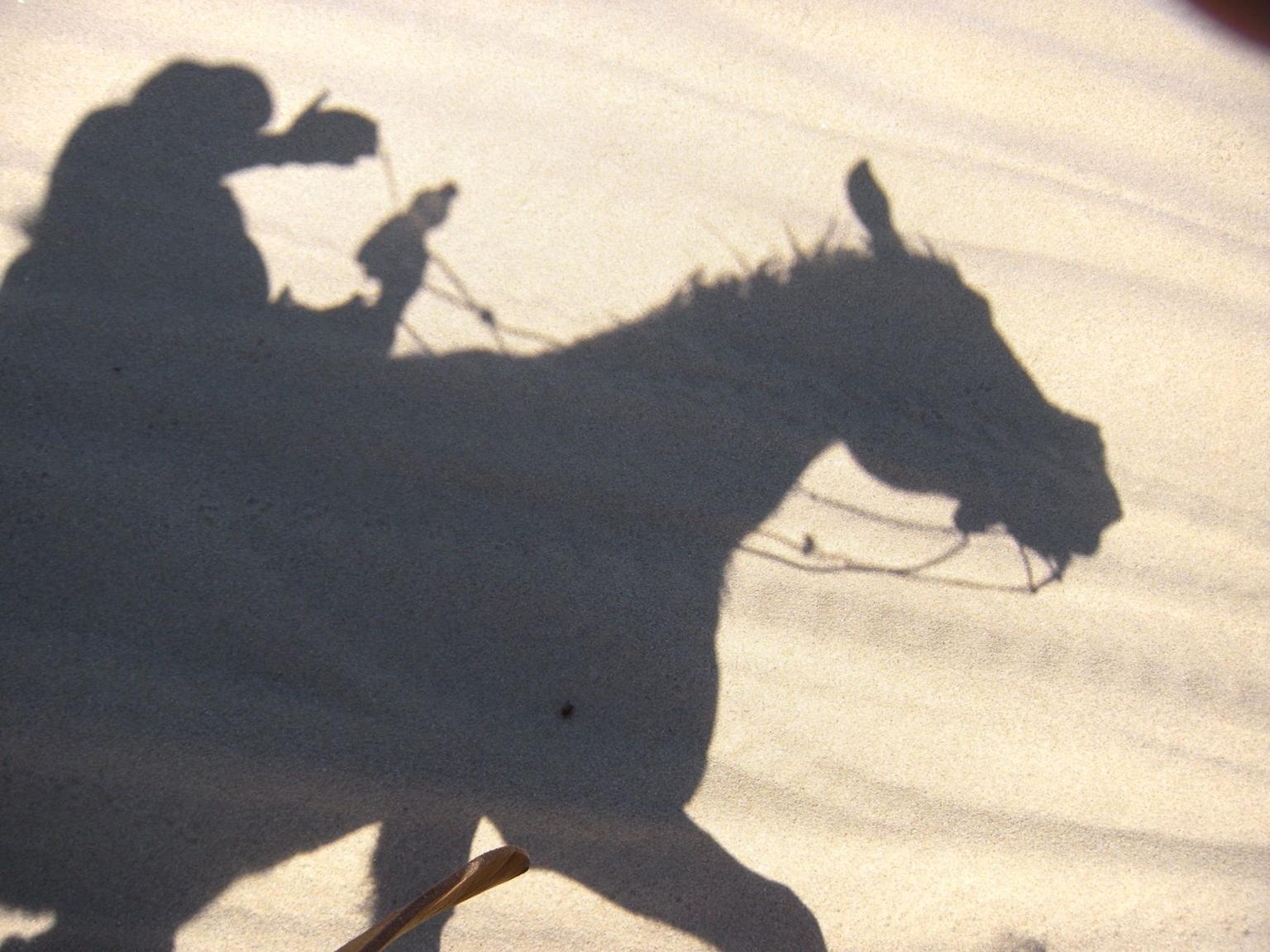 Shadow on the sand