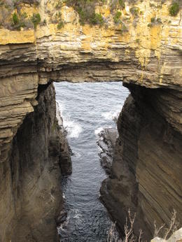 Photo of Tasman Arch It's a short detour from the main road to see Tasman Arch and the Devil's Kitchen , David C - December 2010
