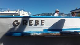 Photo of bateau sans boissons à bord vieux bateau mis à disposition ne correspond pas aux dires de la vente , brigitte l - July 2016