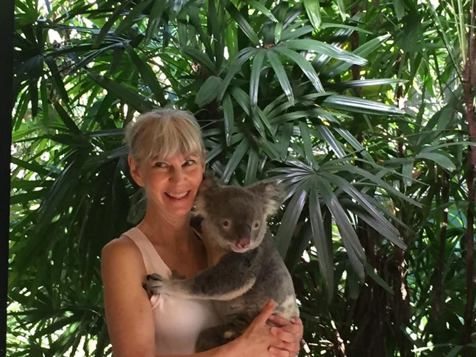 Cody the Koala