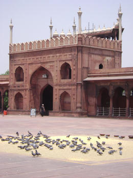 Photo of Mosque Birds at the South Gate The south gate (entrance) to the Delhi Mosque. 11% of the population in Delhi is Muslim , Balti-most - May 2011