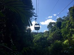 Photo of Sky Rail from Kuranda The Sky Rail gave a wonderful opportunity to see the canopy of the rainforest. There were two transfer stations on the Sky Rail - I recommend that you get off and hike around for some spectacular ... , jeanievan - September 2016