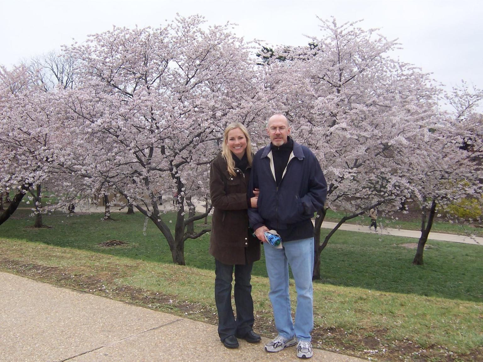 Cherry Blossom Time