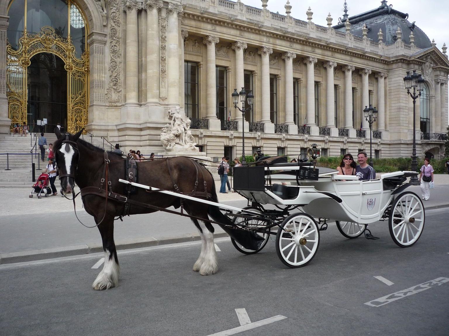 Full shot of carriage and horse, Pride.