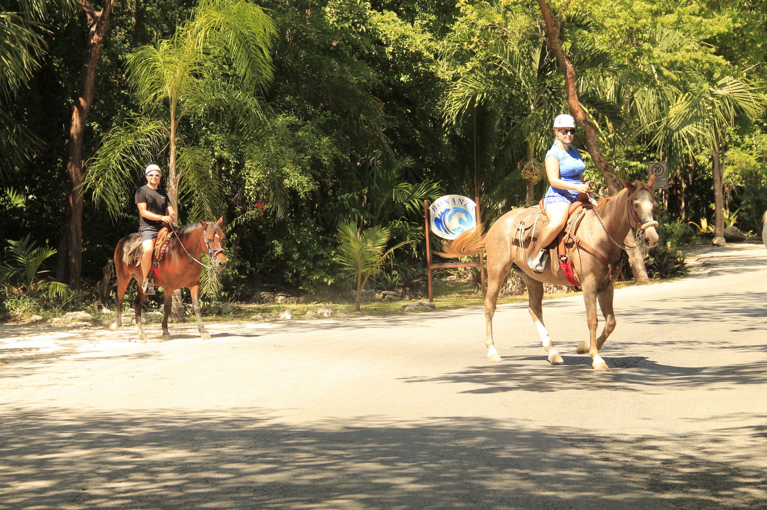 Horse Riding