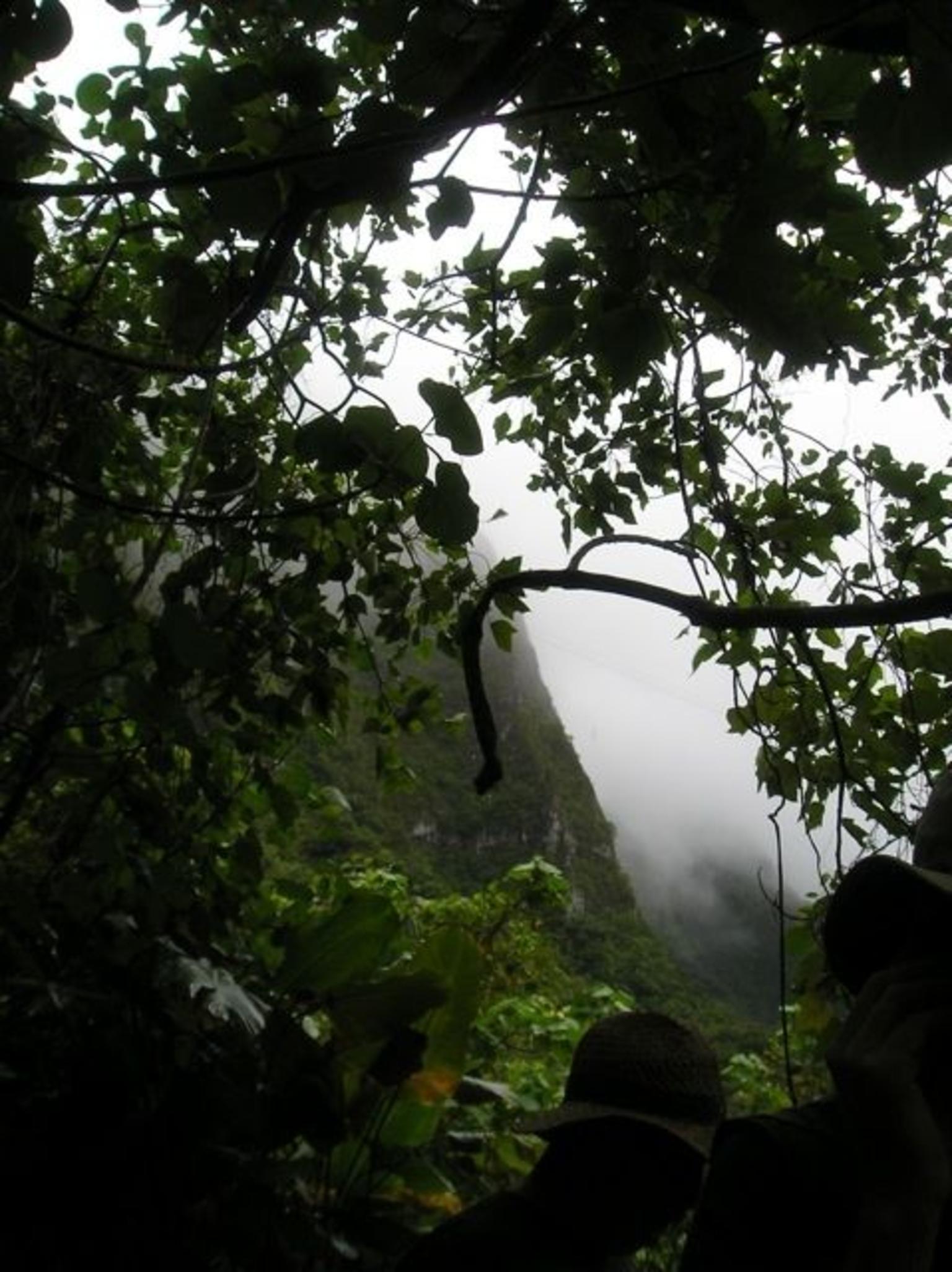 Rainy Mountain View