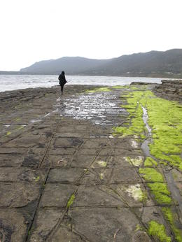 Photo of Tesselated Pavement Tesselated Pavement looks a lot like a man made footpath, but it's a creation of mother nature. Out of all the beautiful scenery I saw on the Tasman Peninsula, this probably impressed me the most. , David C - December 2010