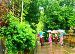 Photo of Tropical rain storm at Bali Pura Luhur Batukaru Temple Our small tour group, Hanna, Mark and Oksana with Benny our guide , Mark F - March 2014