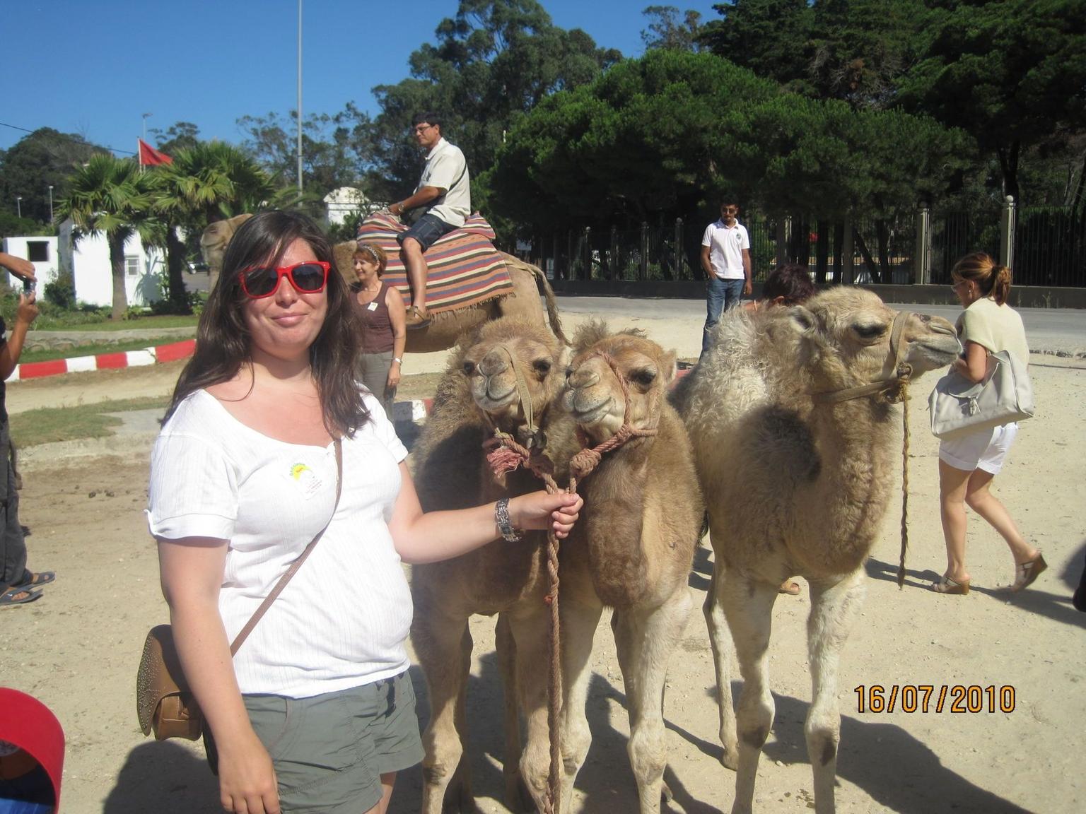 Baby Camel Picture