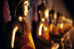 Photo of Buddha Statues, Wat Arun, Bangkok, Thailand These Buddhas are part of the Wat Arun temple complex in Bangkok - better known as the Temple of the Dawn - June 2011