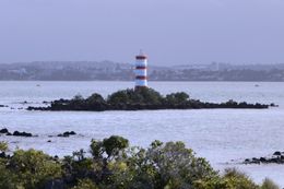 Photo of The Lighthouse The driver explained the historical significance of the lighthouse and its current relevance to Auckland Harbour. , Robert K - May 2016
