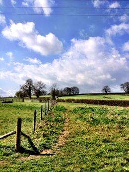 Photo of Cotswolds Walking Trail So many amazing trails to explore in the Cotswolds - ideal place to spend a few days for people who like to walk. , Skootre - April 2012