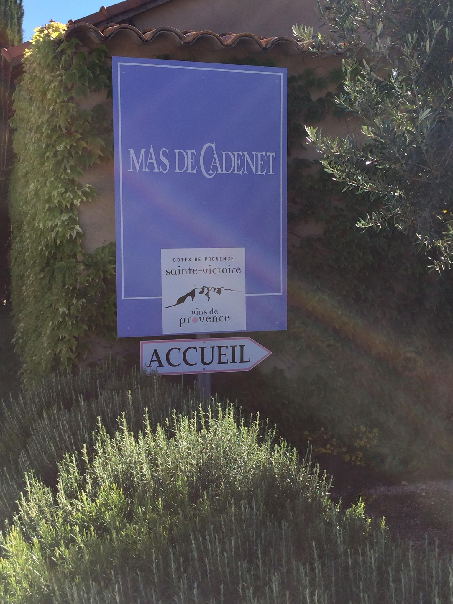 Mas De Cadenet was the first Vineyard we visited