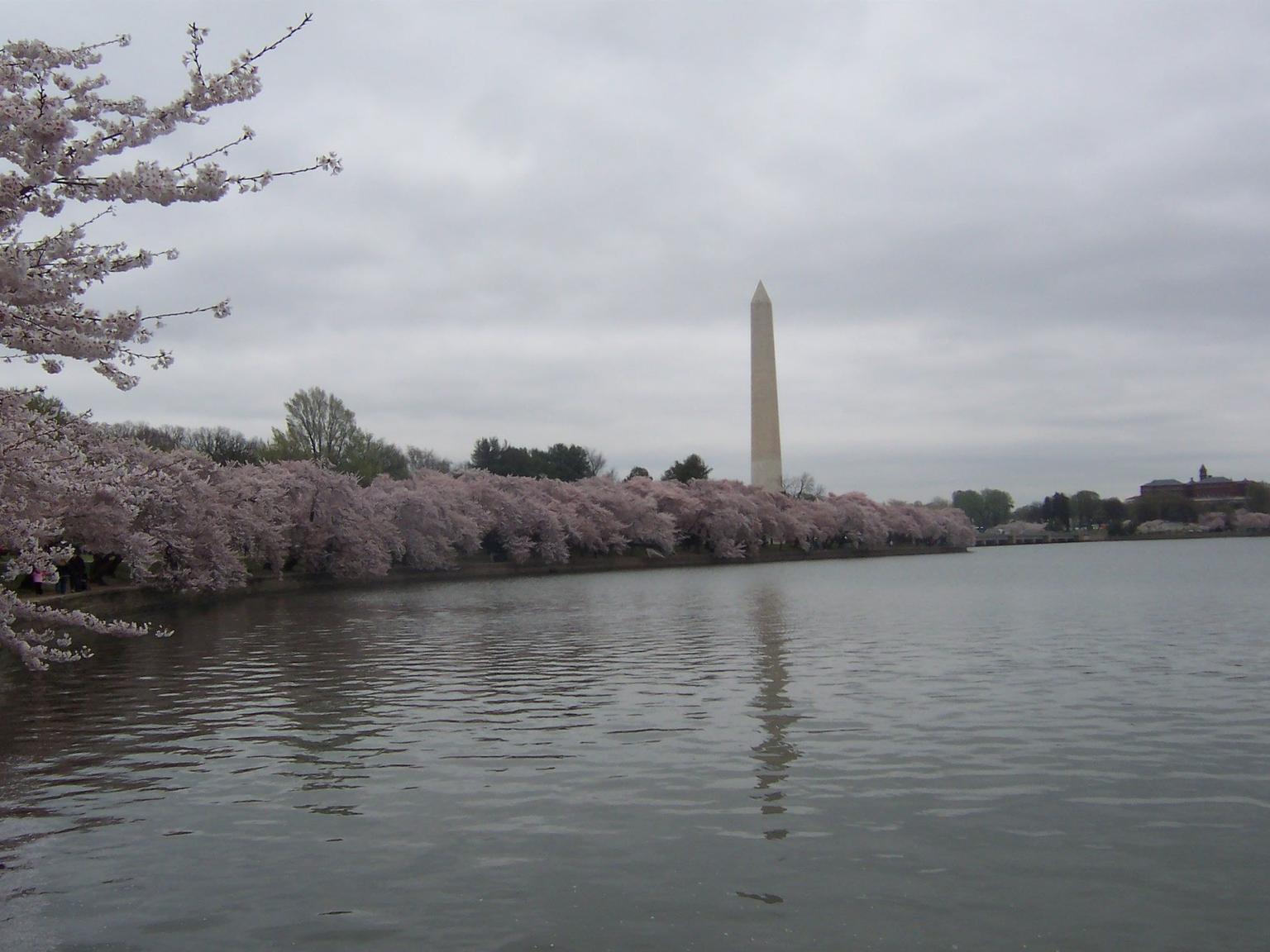 Washington Monument