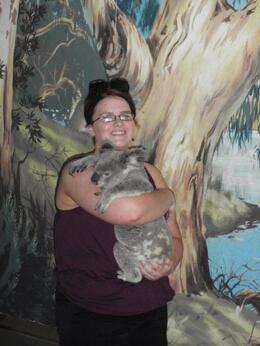 Photo of cairns zoo hold a koala you can hold a koala and get a prof pic for $10, koalakiss86 - November 2010