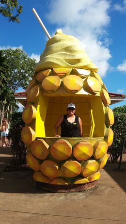 Photo of Dole plantation At one of our main stops... Dole Plantation. The dole whip is amazing, a must have. , Jeraldine G - August 2016