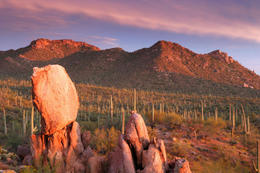 Photo of Sonoran Desert - Saguaro National Park, Arizona Sonoran Desert - Saguaro National Park, Arizona - November 2011